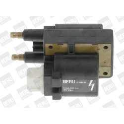 Ritė, uždegimas BorgWarner (BERU) ZS246