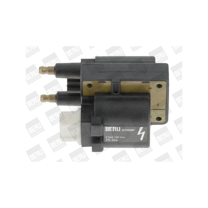 Ritė, uždegimas BorgWarner (BERU) ZS246