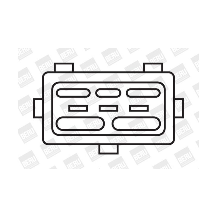 Ritė, uždegimas BorgWarner (BERU) ZS246