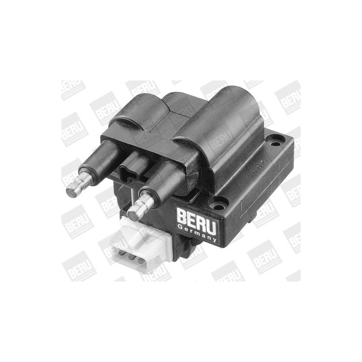 Ritė, uždegimas BorgWarner (BERU) ZS246