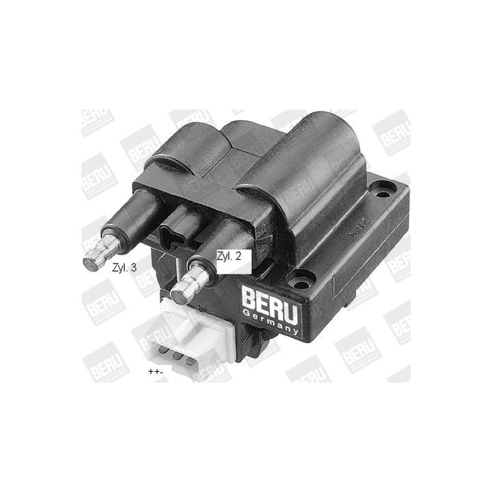 Ritė, uždegimas BorgWarner (BERU) ZS246