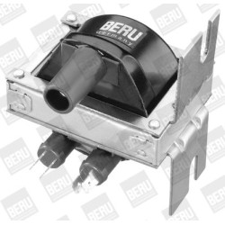 Ritė, uždegimas BorgWarner (BERU) ZS248