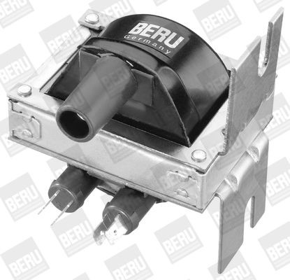 Ritė, uždegimas BorgWarner (BERU) ZS248