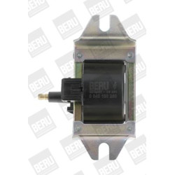 Ritė, uždegimas BorgWarner (BERU) ZS250