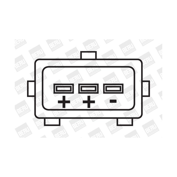 Ritė, uždegimas BorgWarner (BERU) ZS250