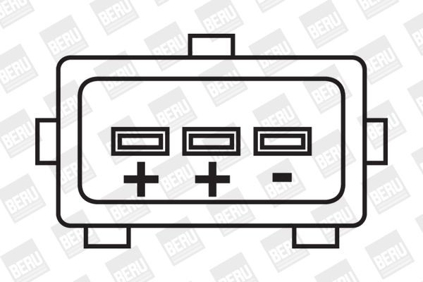 Ritė, uždegimas BorgWarner (BERU) ZS250