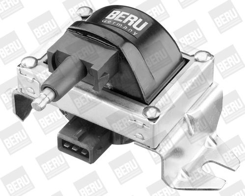 Ritė, uždegimas BorgWarner (BERU) ZS250