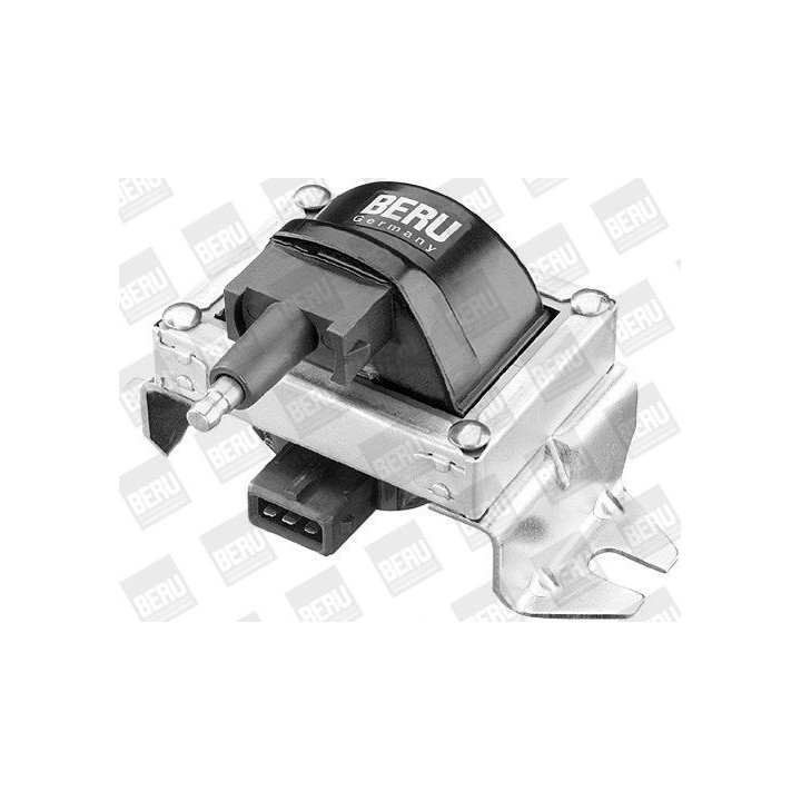 Ritė, uždegimas BorgWarner (BERU) ZS250