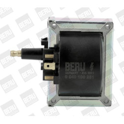 Ritė, uždegimas BorgWarner (BERU) ZS251