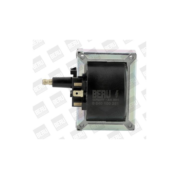 Ritė, uždegimas BorgWarner (BERU) ZS251