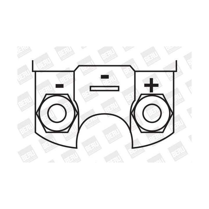 Ritė, uždegimas BorgWarner (BERU) ZS251