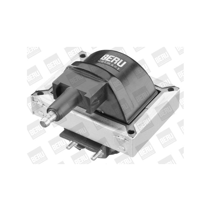 Ritė, uždegimas BorgWarner (BERU) ZS251