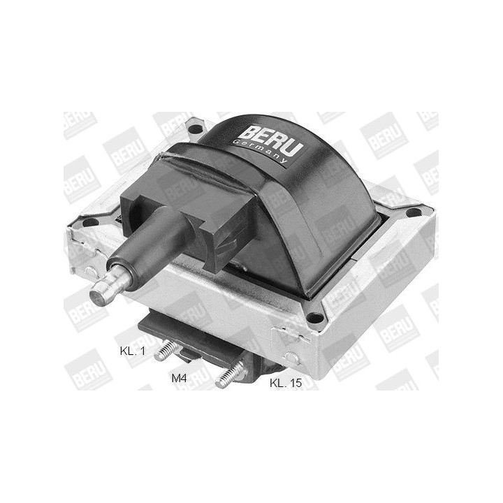 Ritė, uždegimas BorgWarner (BERU) ZS251