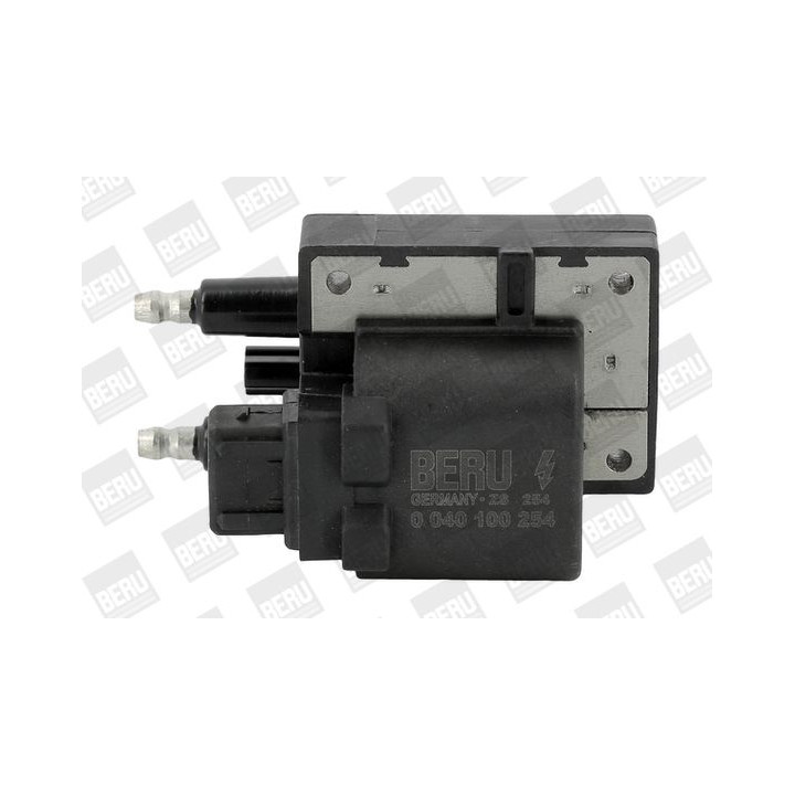 Ritė, uždegimas BorgWarner (BERU) ZS254