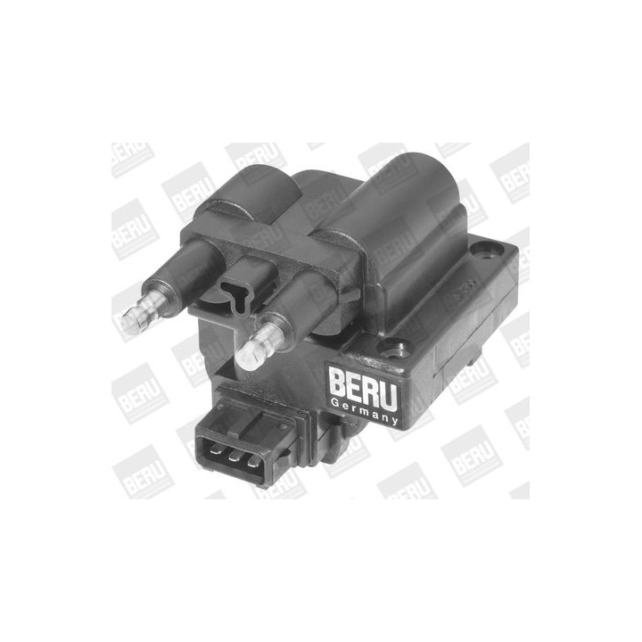 Ritė, uždegimas BorgWarner (BERU) ZS254