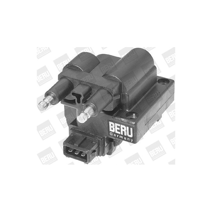 Ritė, uždegimas BorgWarner (BERU) ZS254