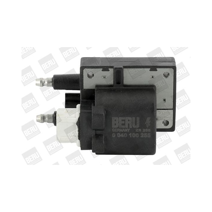 Ritė, uždegimas BorgWarner (BERU) ZS255