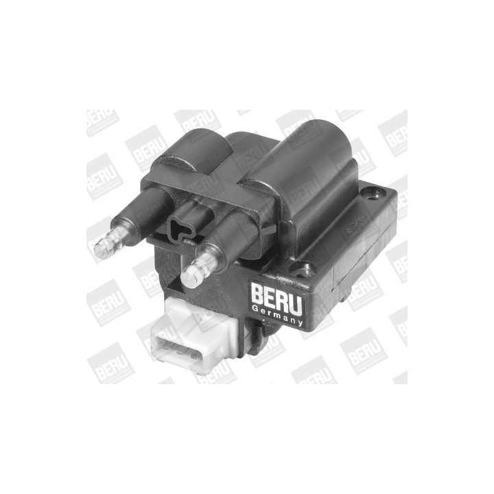 Ritė, uždegimas BorgWarner (BERU) ZS255