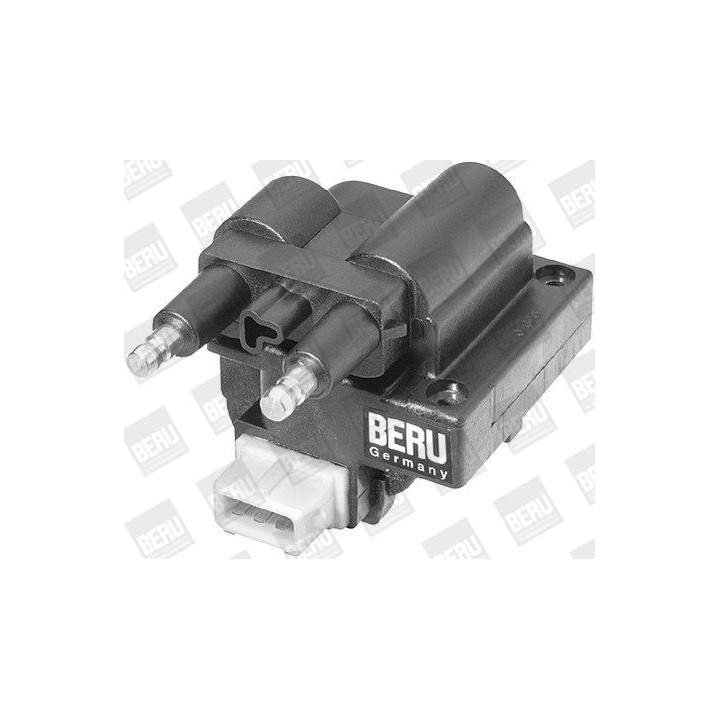 Ritė, uždegimas BorgWarner (BERU) ZS255