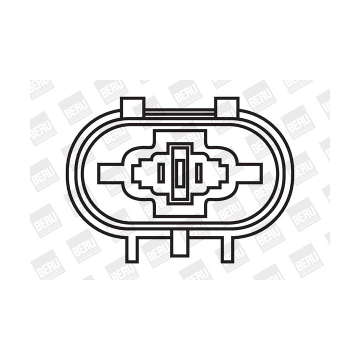 Ritė, uždegimas BorgWarner (BERU) ZS261