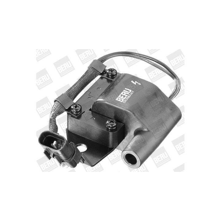 Ritė, uždegimas BorgWarner (BERU) ZS261