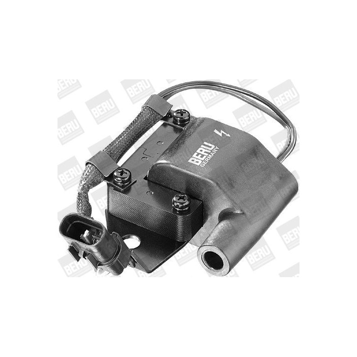 Ritė, uždegimas BorgWarner (BERU) ZS261