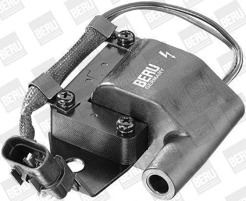 Ritė, uždegimas BorgWarner (BERU) ZS261