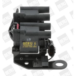 Ritė, uždegimas BorgWarner (BERU) ZS264