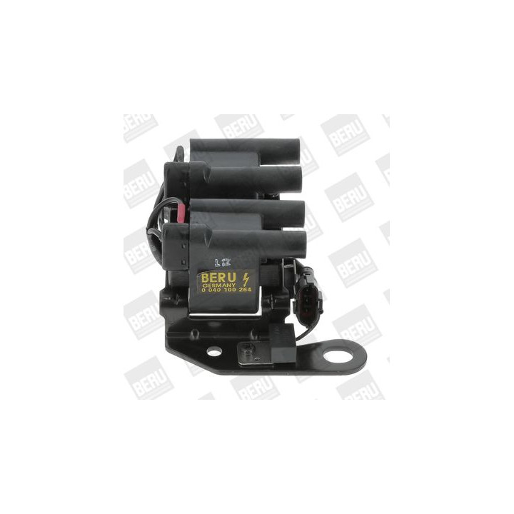 Ritė, uždegimas BorgWarner (BERU) ZS264