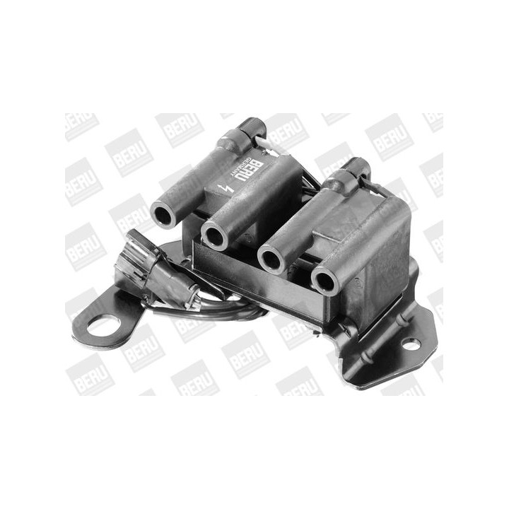 Ritė, uždegimas BorgWarner (BERU) ZS264