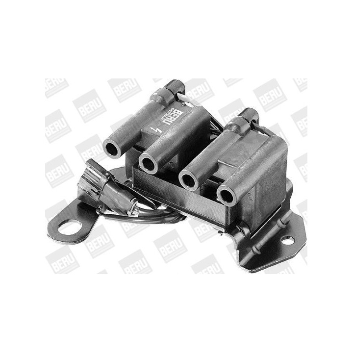 Ritė, uždegimas BorgWarner (BERU) ZS264