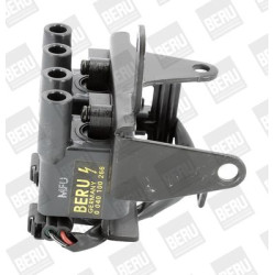 Ritė, uždegimas BorgWarner (BERU) ZS266