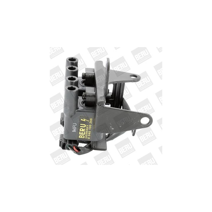 Ritė, uždegimas BorgWarner (BERU) ZS266