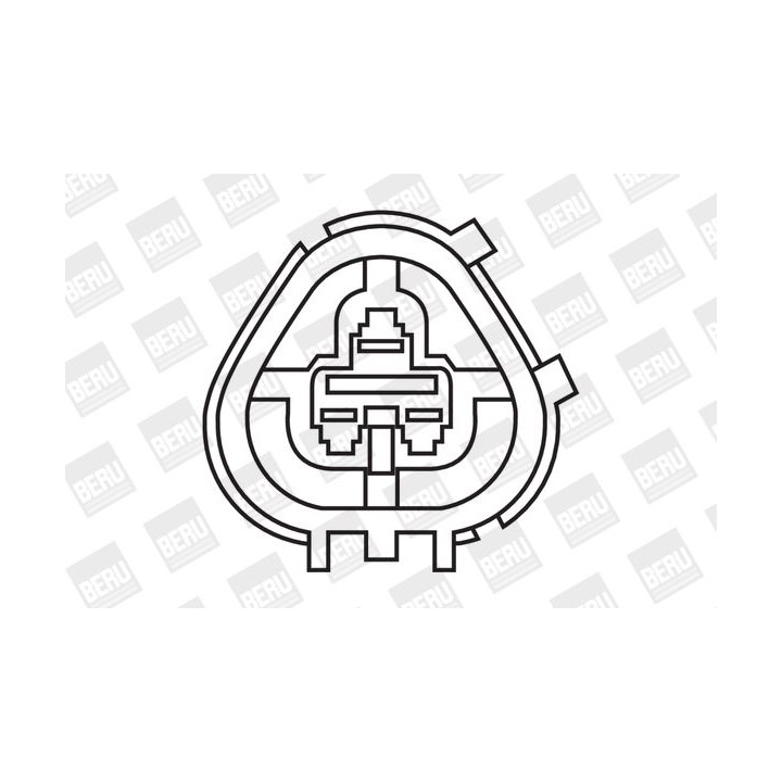 Ritė, uždegimas BorgWarner (BERU) ZS266