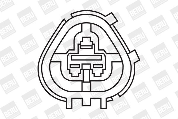 Ritė, uždegimas BorgWarner (BERU) ZS266