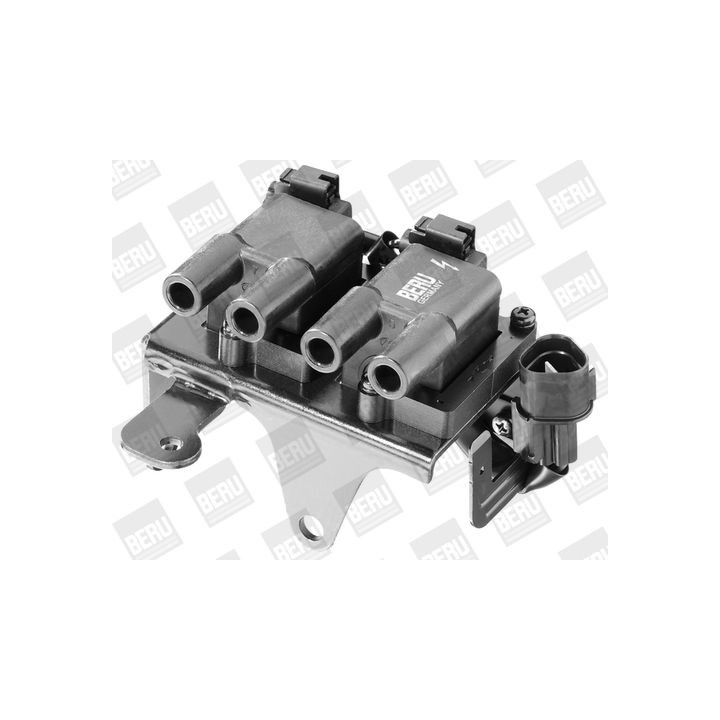 Ritė, uždegimas BorgWarner (BERU) ZS266