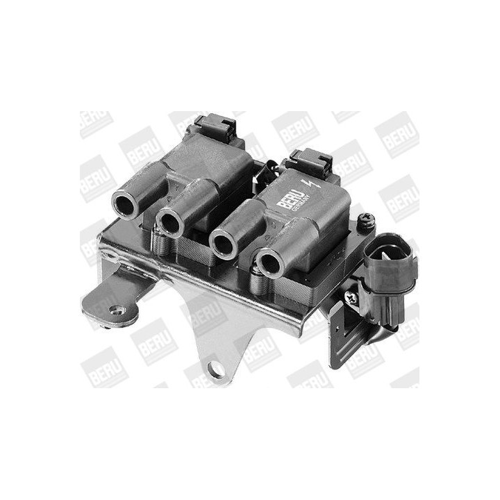 Ritė, uždegimas BorgWarner (BERU) ZS266