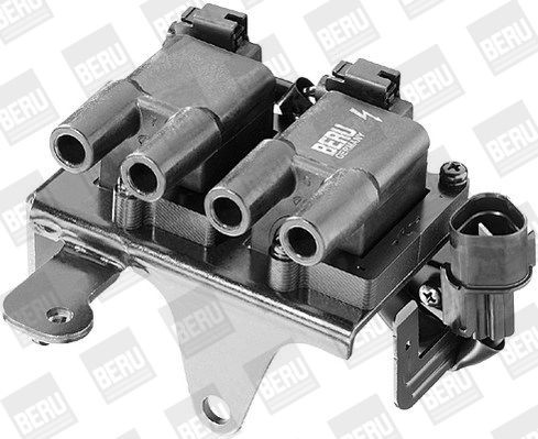 Ritė, uždegimas BorgWarner (BERU) ZS266