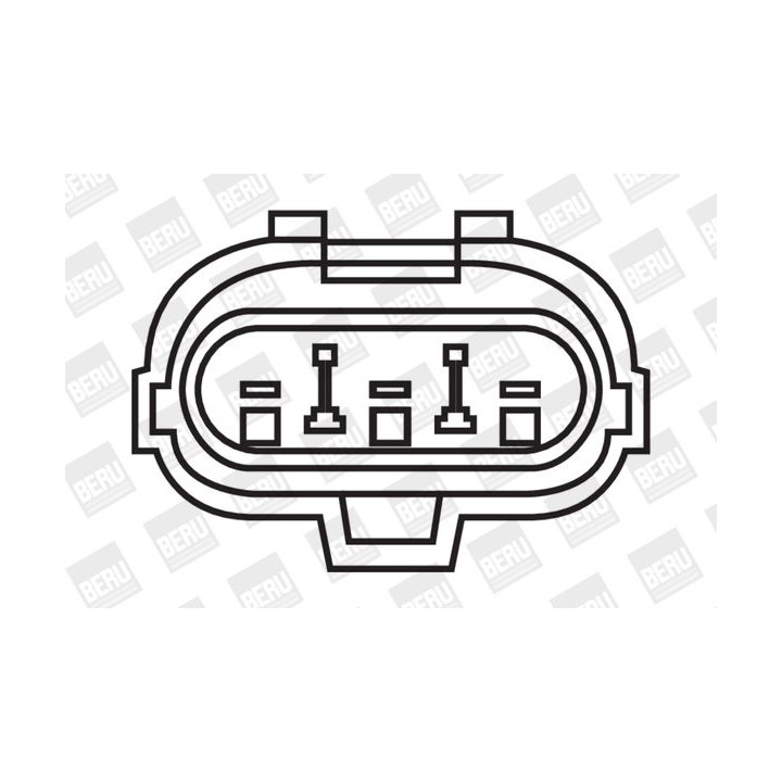 Ritė, uždegimas BorgWarner (BERU) ZS267