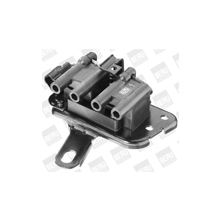 Ritė, uždegimas BorgWarner (BERU) ZS267