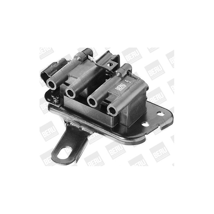 Ritė, uždegimas BorgWarner (BERU) ZS267