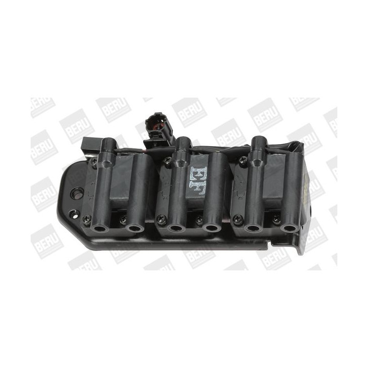 Ritė, uždegimas BorgWarner (BERU) ZS269