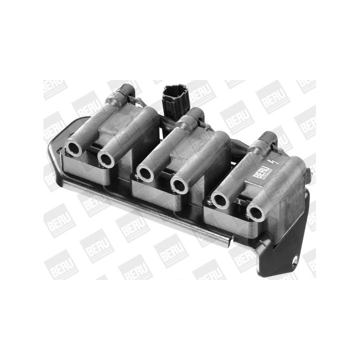 Ritė, uždegimas BorgWarner (BERU) ZS269