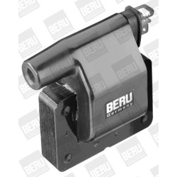 Ritė, uždegimas BorgWarner (BERU) ZS274