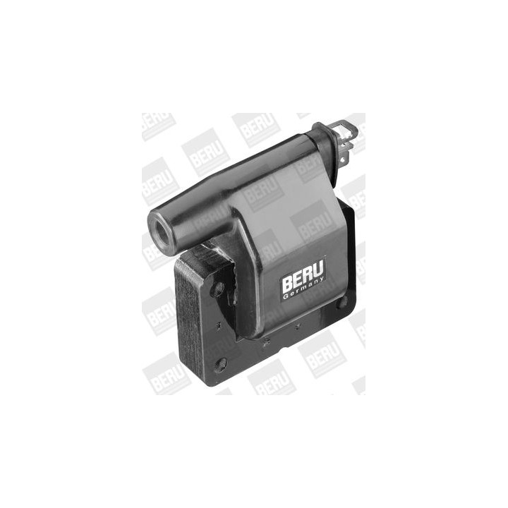 Ritė, uždegimas BorgWarner (BERU) ZS274