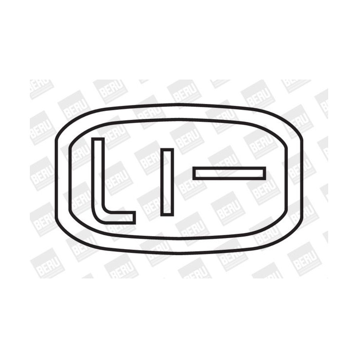 Ritė, uždegimas BorgWarner (BERU) ZS274