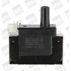 Ritė, uždegimas BorgWarner (BERU) ZS275