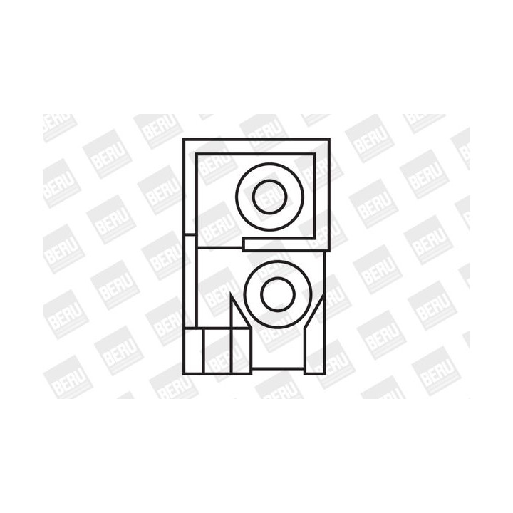 Ritė, uždegimas BorgWarner (BERU) ZS275