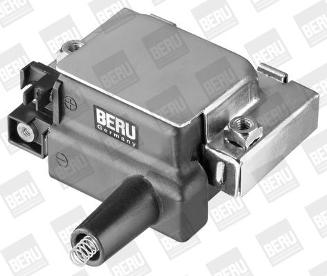 Ritė, uždegimas BorgWarner (BERU) ZS275