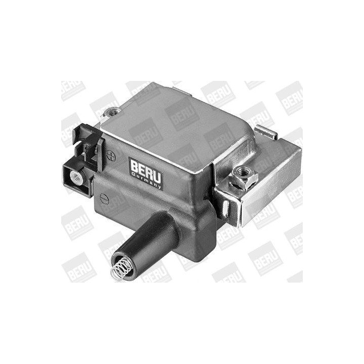 Ritė, uždegimas BorgWarner (BERU) ZS275